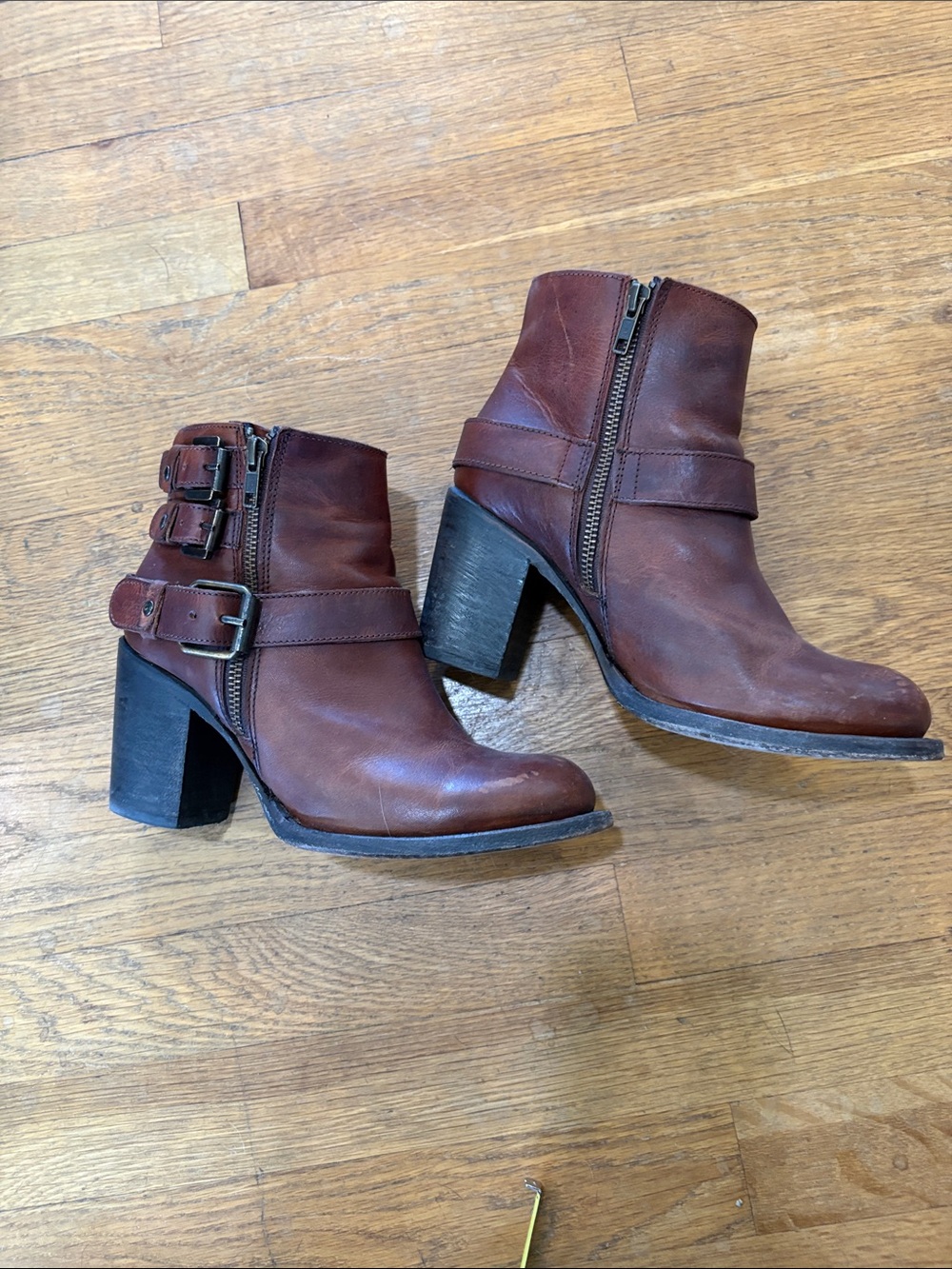 Freebird by Steven Brown Leather Ankle Booties with Buckle Detail - Picture 2 of 6